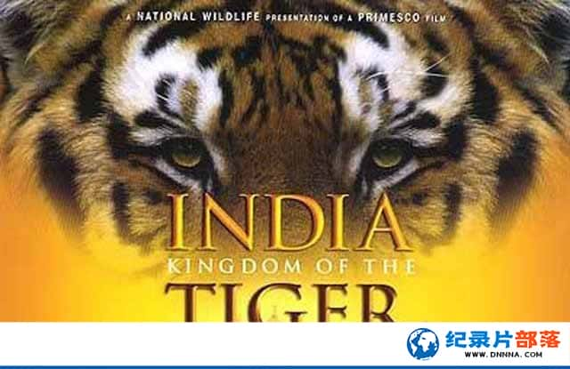 IMAXﱣ¼Ƭӡ ϻ India: Kingdom of the Tigerȫ1-Ѹ