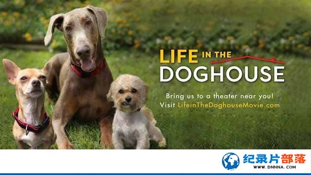 ˹¼Ƭͬһ Life in the Doghouseȫ1 720P/1080i¼ƬԴٶ-1080P720P360P