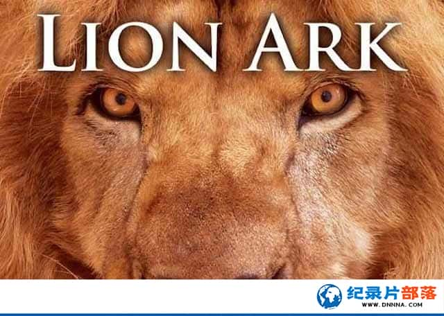 ﱣ¼Ƭʨӷ Lion Arkȫ1-Ѹ