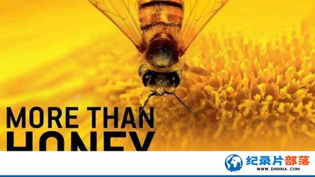 ۷¼Ƭɵðٻۺ More Than Honeyȫ1-Ѹ