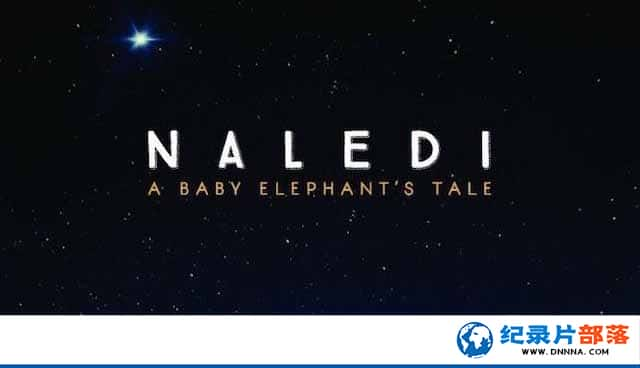 NetflixҰ¼ƬյϣһֻСĹ Naledi: A Baby Elephants Taleȫ1-Ѹ