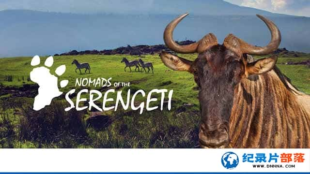 ҵǨ¼Ƭ׸ǵٵ Nomads of the Serengetiȫ5-Ѹ