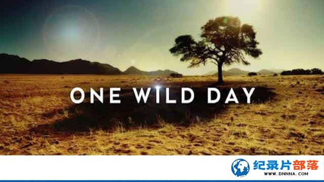 PTSȻ̬¼ƬҰһ One Wild Dayȫ3-Ѹ