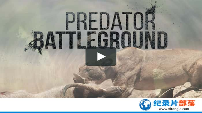 ҵҰ¼Ƭʳս Predator Battlegroundȫ1¼ƬԴٶ-Ѹ