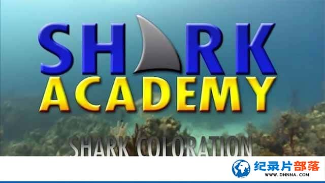 ¼ƬѧԺ Shark Academyȫ7-Ѹ