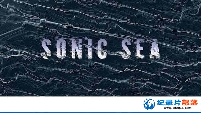 ̽Ƶ㱣¼Ƭ Sonic Seaȫ1-Ѹ