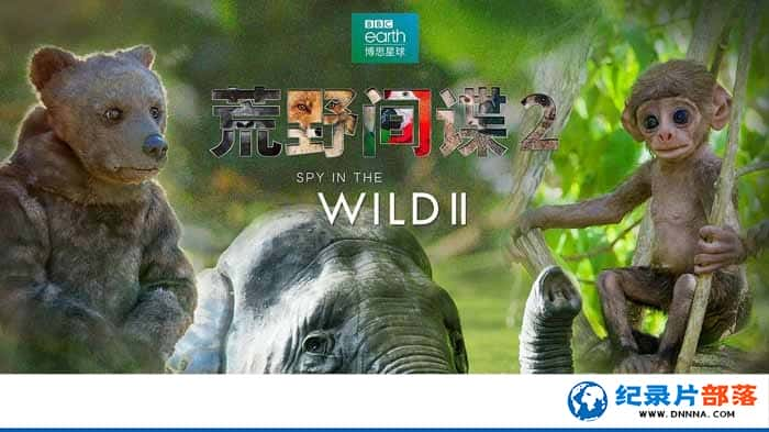 BBC¼ƬҰ Spy in the Wild2-Ѹ