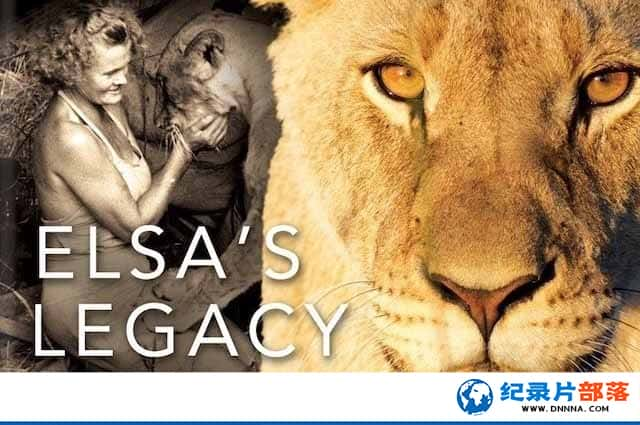 PBS붯¼ƬɯŲɵĹ Elsas Legacy: The Born Free Storyȫ1-Ѹ