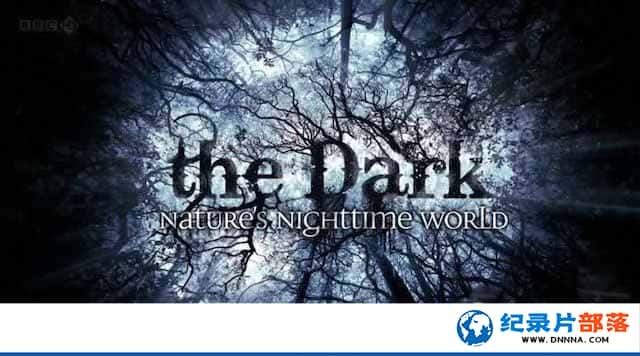 ҹж¼ƬڰеȻ The Dark: Natures Nighttime Worldȫ3-Ѹ