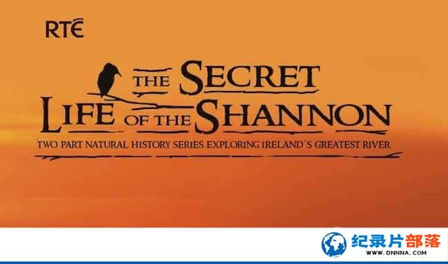 Ưμ¼Ƭũؾ The Secret Life of the Shannonȫ2-Ѹ