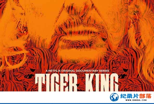 Netflixɼ¼ƬΪ Tiger Kingȫ7-Ѹ