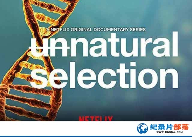 Netflix༼¼Ƭﾺ Unnatural Selection1-Ѹ