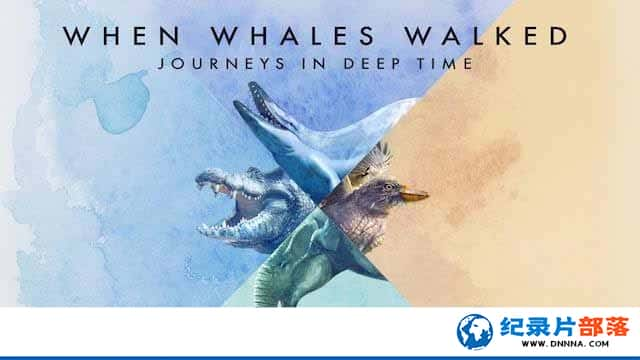 PBSʷǰ¼Ƭߵʱ֮ When Whales Walked:Journeys in Deep Timeȫ1-Ѹ