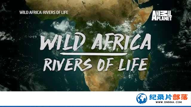 ˮ̬¼Ƭ޳ Wild Africa: River of lifeȫ7-Ѹ