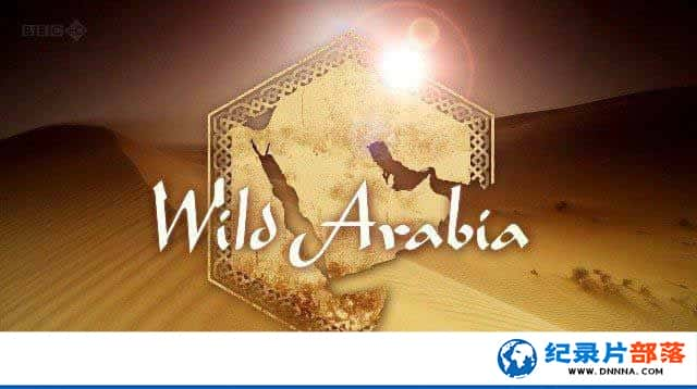 BBCȻ̬¼ƬҰ԰ Ұ Wild Arabiaȫ3-Ѹ