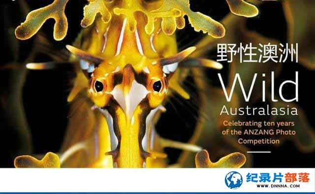 BBCȻ̬¼ƬҰ԰ Wild Australasia 2003ȫ6-Ѹ