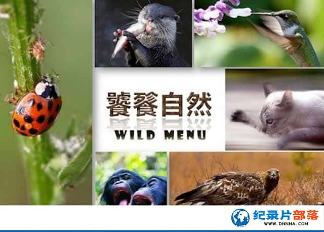 Ȼ¼ƬȻ Wild Menu1-Ѹ