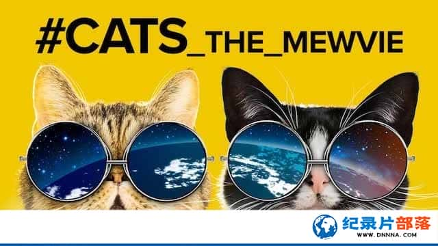 Netflixȳ¼Ƭ cats the mewvieȫ1-Ѹ