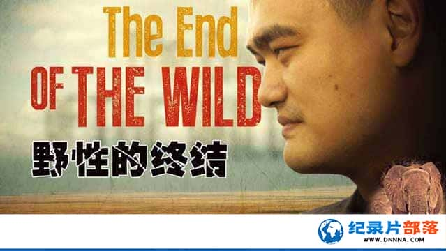 CCTVӶﱣ¼ƬҰԵս The End of the Wildȫ2-Ѹ