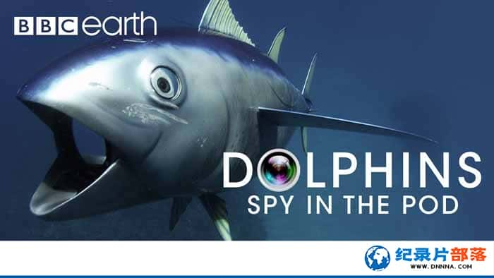 BBC¼ƬԵ׺ Dolphins-Spy in the Podȫ2¼Ƭٶ