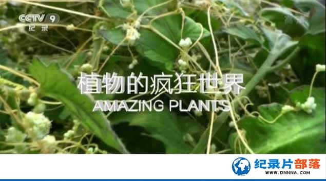 CCTVҰֲ¼Ƭֲķ Amazing Plantsȫ1-Ѹ