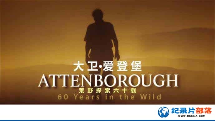 BBC¼ƬǱҰ̽60/BBCB60 Attenborough 60 Years in the Wild-