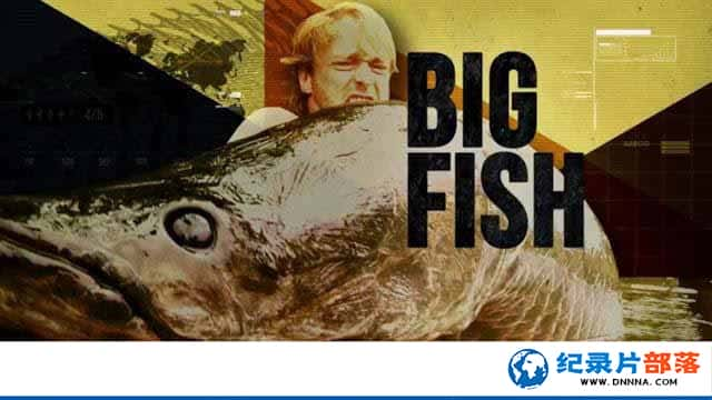 ̽ƵⲶ¼Ƭ Big Fish Manȫ6¼Ƭٶ