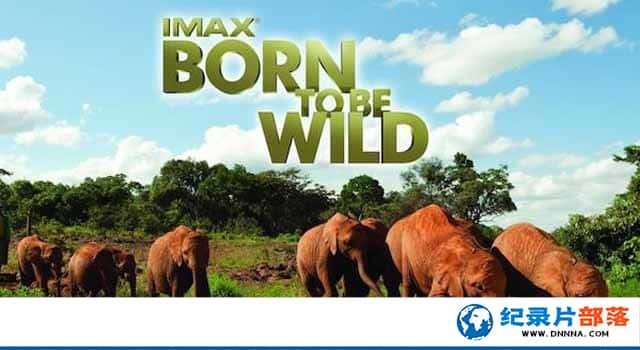 IMAXҰ¼ƬعҰ Born to Be Wildȫ1¼Ƭٶ