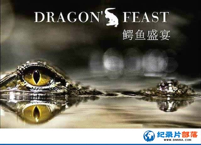 ҵ̽¼Ƭʢ Dragon Feastȫ1¼Ƭٶ