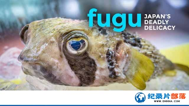 ʳ¼Ƭࣺһֿζ FUGU:A Taste to Die Forȫ1-Ѹ