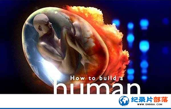 BBC¼Ƭ How to Build A Humanȫ4-Ѹ