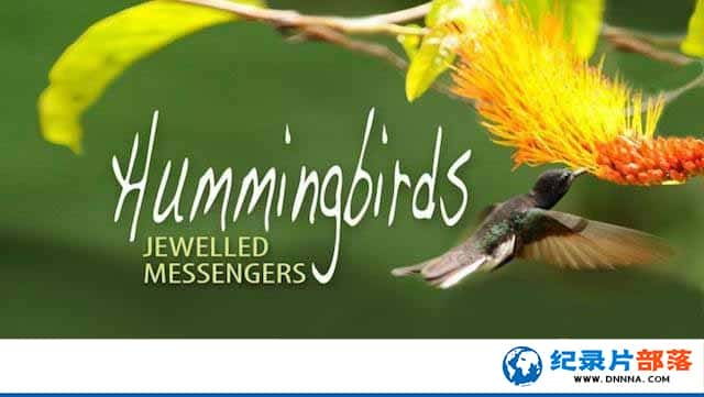 ̽¼Ƭʹ Hummingbirds Jewelled Messengersȫ1¼Ƭٶ