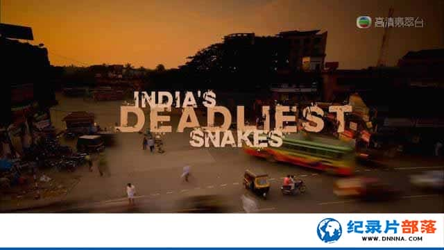 BBC̽¼Ƭӡȶ֮ Indias Deadliest Snakesȫ1¼Ƭٶ