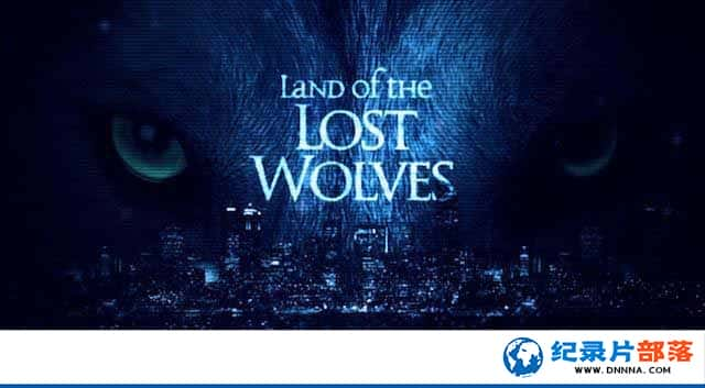 BBCȻ̬¼ƬȺʧ֮ Land of the Lost Wolvesȫ2¼Ƭٶ