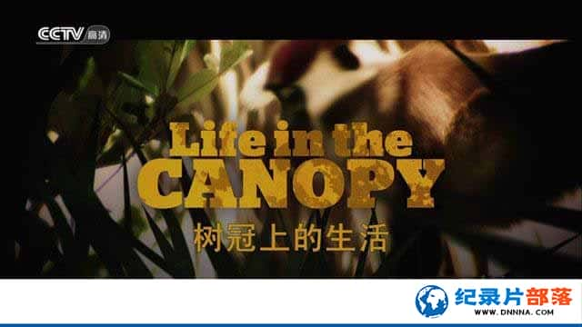 ̽¼Ƭϵ Life in the Canopyȫ3¼Ƭٶ