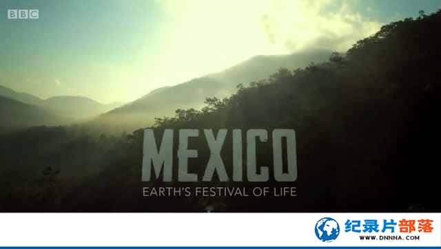 BBCȻ̬¼Ƭī:ϵ Mexico-Earths Festival of Lifeȫ3-Ѹ