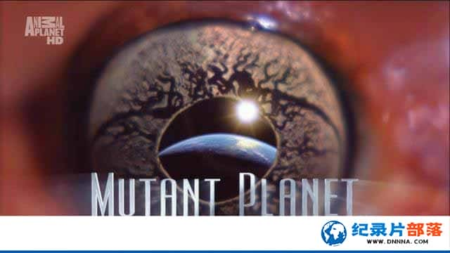 ̽Ƶ̽¼Ƭ Mutant Planetȫ6¼Ƭٶ