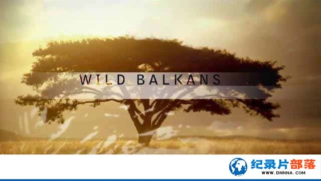 PBSȻ̬¼ƬҰԵİͶ Wild Balkansȫ1¼Ƭٶ