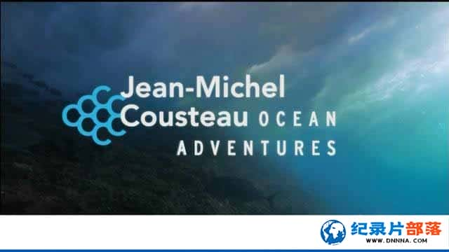 ҵ̽¼Ƭ鿿˹к̽ Jean Michel CousteauOcean Adventuresȫ5¼Ƭٶ