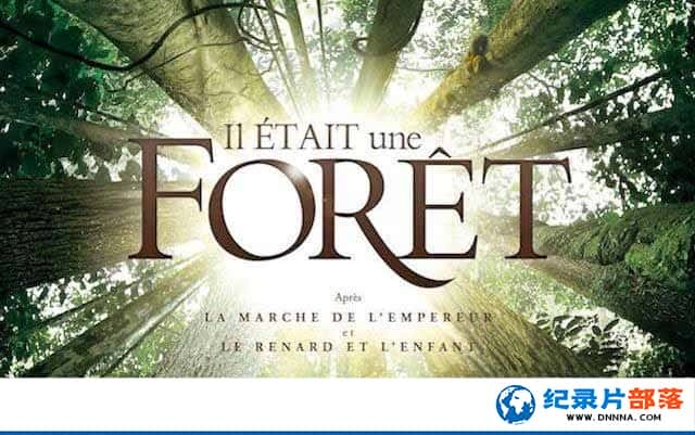 Ȼ̬¼Ƭǰɭ Once Upon a Forestȫ1¼Ƭٶ