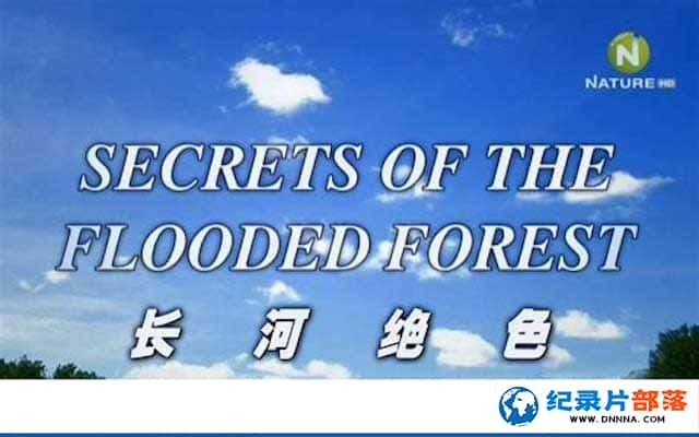 觺Ȼ̬¼Ƭɭֵ / Ӿɫ Secrets of the Flooded Forestȫ1-Ѹ