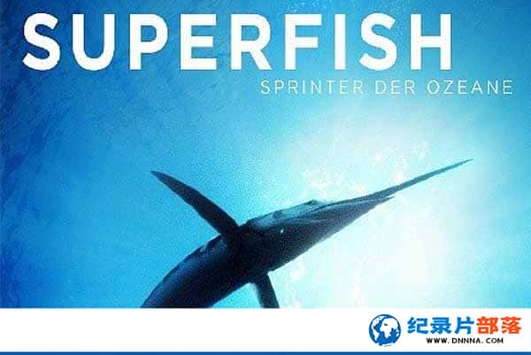 PBS̬¼Ƭ Superfishȫ1-Ѹ