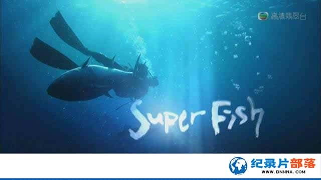 KBSʳĻ¼Ƭ̷ Superfishȫ4¼Ƭٶ