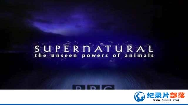 BBC̽¼ƬȻ̽Ȼ Supernatural The Unseen Powers of Animalsȫ6-Ѹ