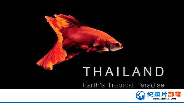 BBCȻ̬¼Ƭ̩:ϵȴ Thailand: Earths Tropical Paradiseȫ3¼Ƭٶ