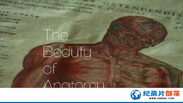 BBCѧչʷ¼Ƭѧ֮ The Beauty of Anatomyȫ5-Ѹ