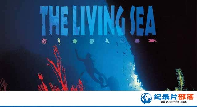 IMAX̬¼Ƭ The Living Seaȫ1-Ѹ