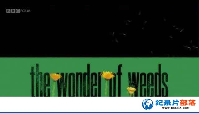 BBCȻ̬¼ƬӲ/Ұ The Wonder of Weedsȫ1-Ѹ