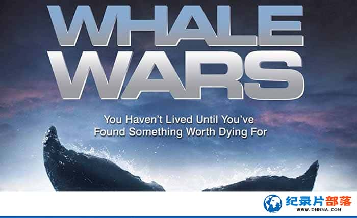 ̽Ƶҵ¼Ƭս Whale Wars4-Ѹ