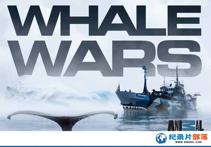 ̽Ƶҵ¼Ƭս Whale Wars5-Ѹ